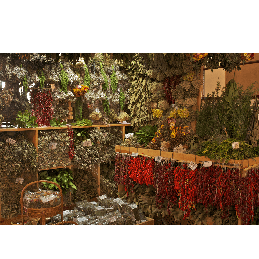 Shop Hexenzeug:
Kräuter und Aufgüsse