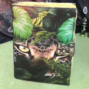 Katzenbuch