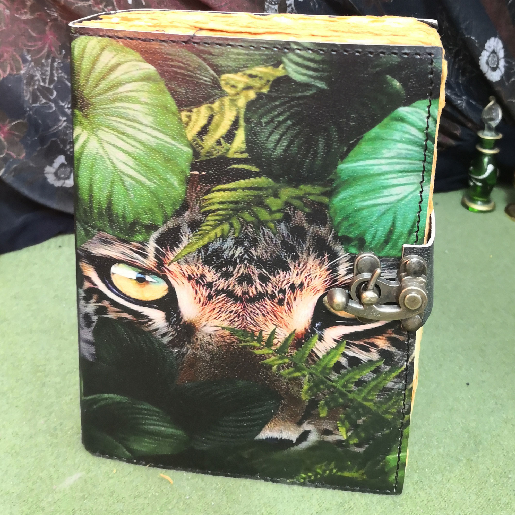 Katzenbuch