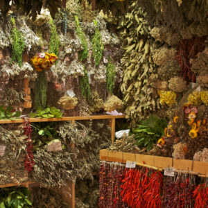 Kräuter